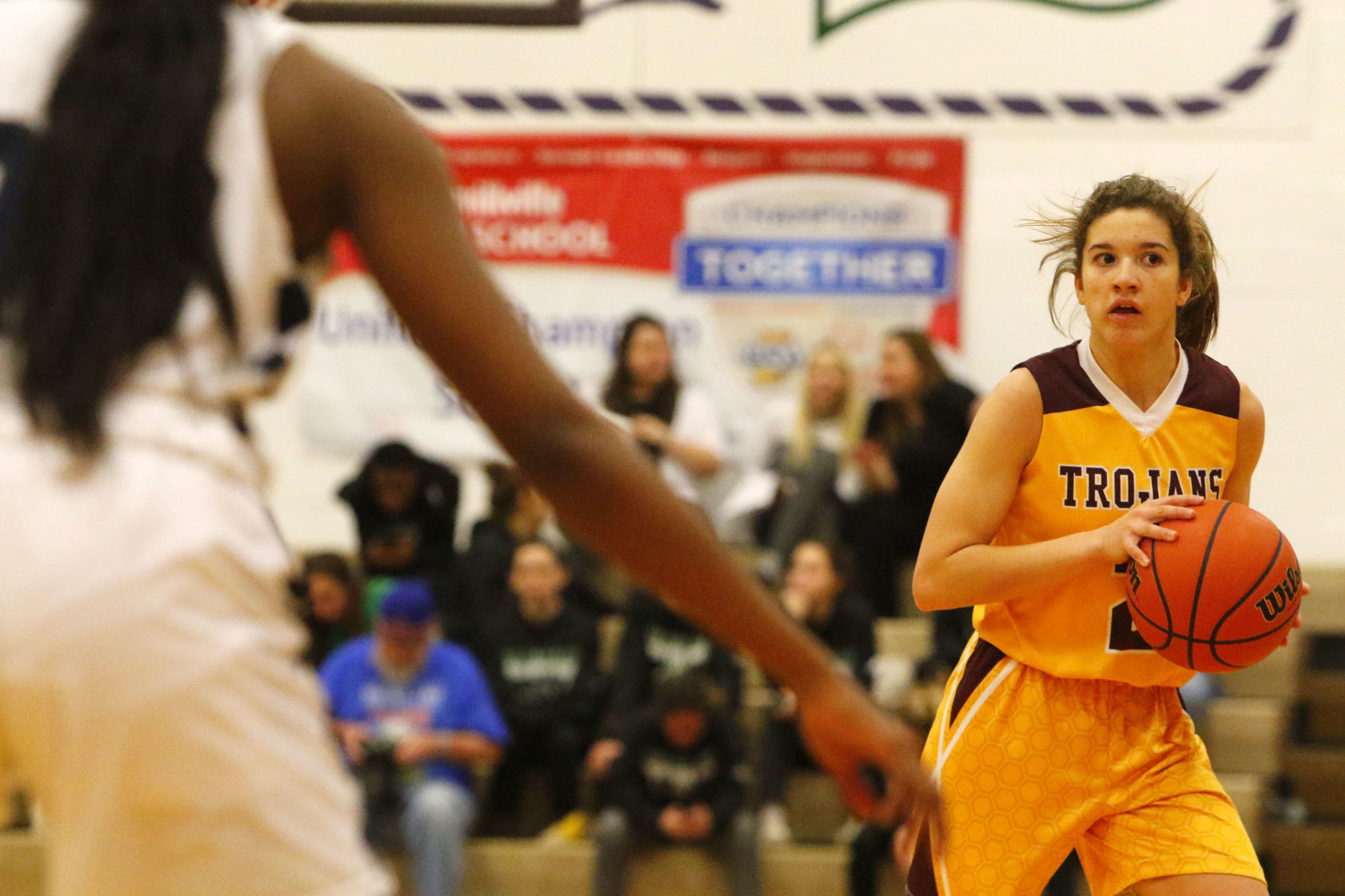 Gallery: Girls 4A basketball sectional - Chesterton vs. Michigan City